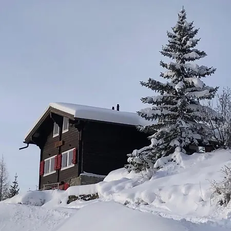Chalet Les Genets Chalet *